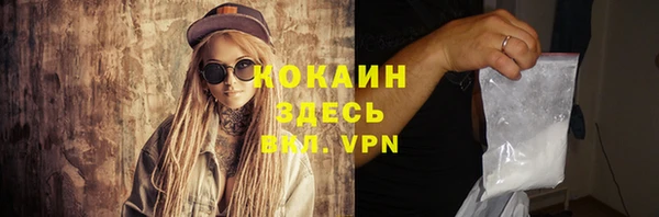 прущие грибы Богданович