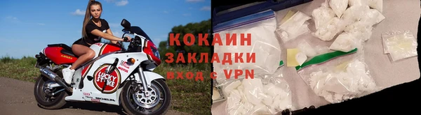 прущие грибы Богданович