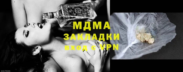 прущие грибы Богданович