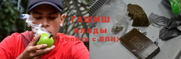 прущие грибы Богданович