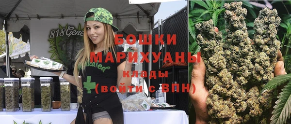 МДПВ Богородицк