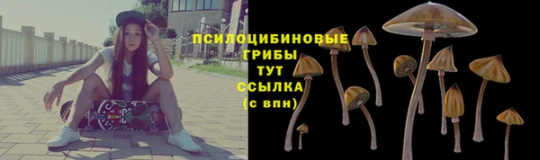 МДПВ Богородицк