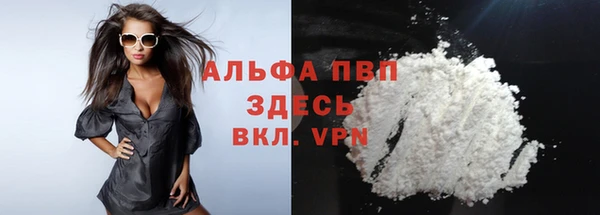 прущие грибы Богданович