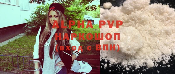 Альфа ПВП Бородино