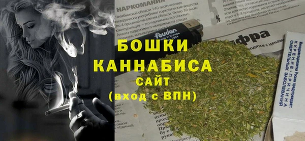 Альфа ПВП Бородино
