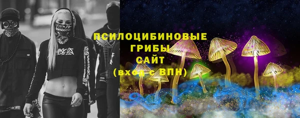 прущие грибы Богданович