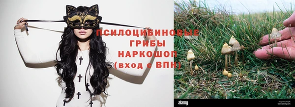 МДПВ Богородицк