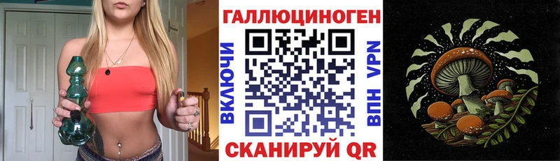 Купить  Курганинск  Галлюциногенные грибы Psilocybe 