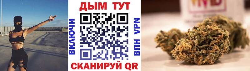 Шишки марихуана ГИДРОПОН  Купить где  Курганинск 